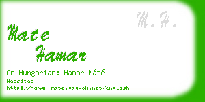 mate hamar business card