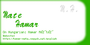 mate hamar business card